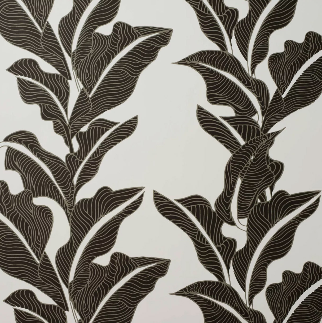 Botanical Leaf Peel and Stick Wallpaper Black White Opalhouse