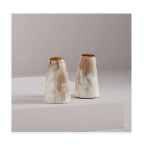 Horn Salt & Pepper Shaker Set2