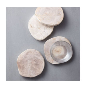 Petrified Wood Coasters